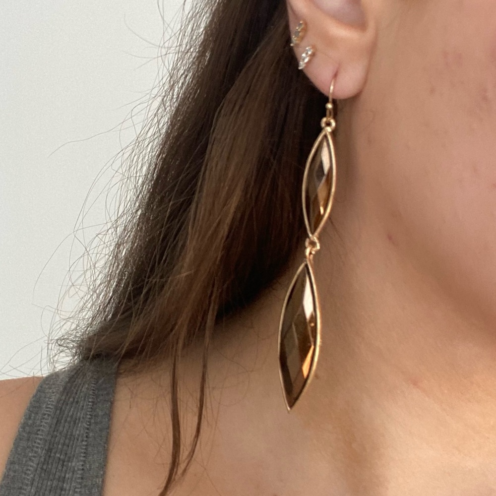 Brown Dangle Earrings - Picture 1 of 2